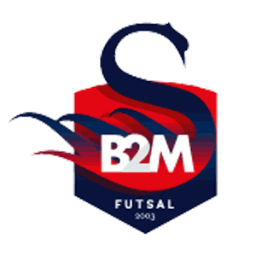 B2M Futsal